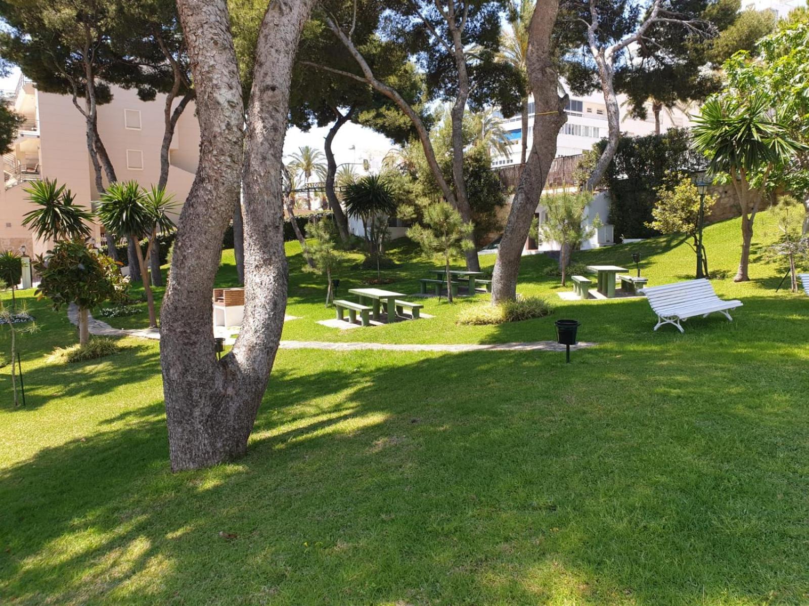 Apartment Luxury Near The Sea *